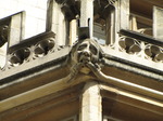 SX07839 Gargoyle biting corner of Oxford building.jpg
